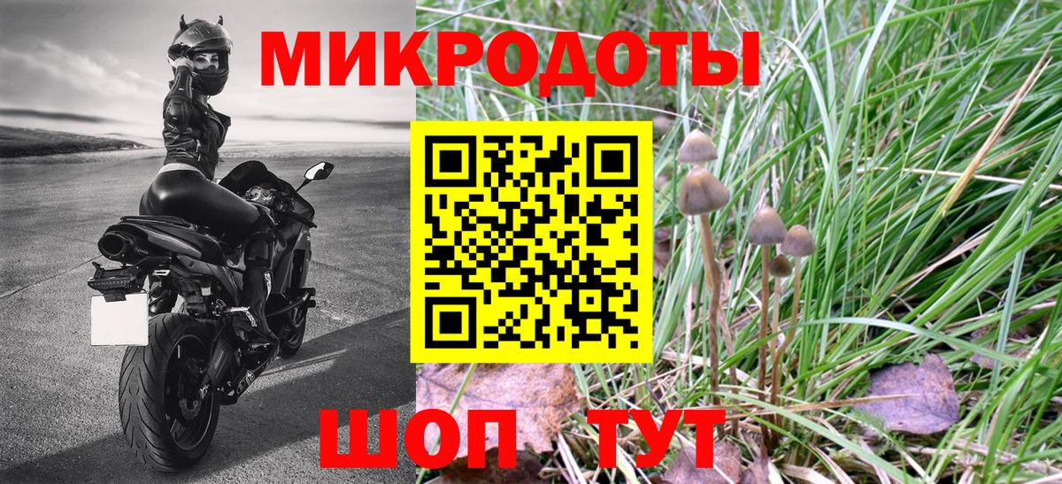 Псилоцибиновые грибы мицелий Подольск